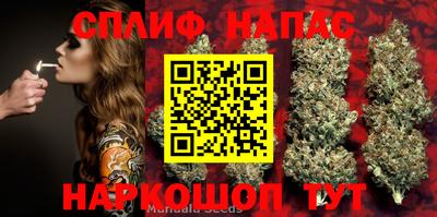 наркотики Лесосибирск