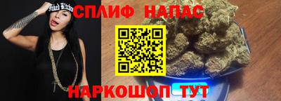 Альфа ПВП Ливны