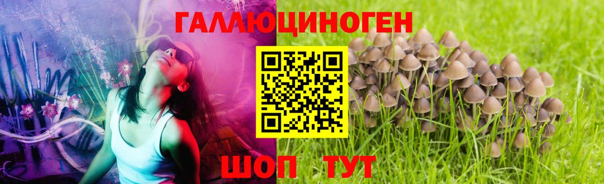 Галлюциногенные грибы прущие грибы  Вход с VPN  Дедовск  Псилоцибиновые грибы прущие грибы 